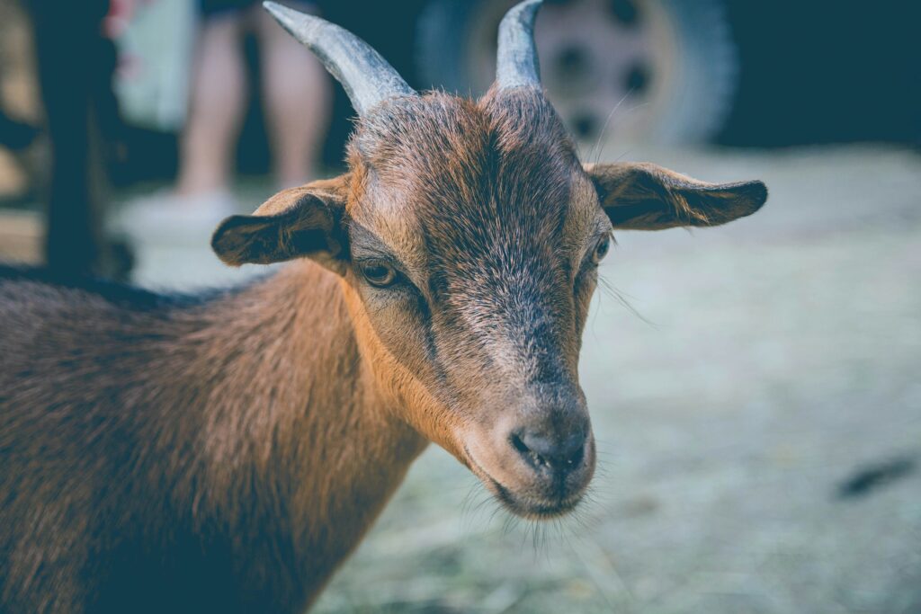 alvaro-reyes-l5FzEf1SDe4-unsplash
