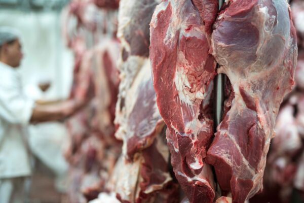 Cow cut Parts